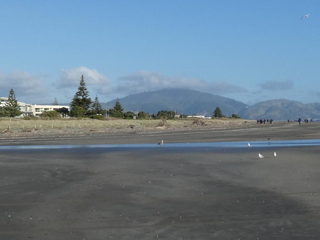 Apartment 4A - By The Beach Paraparaumu Exterior photo